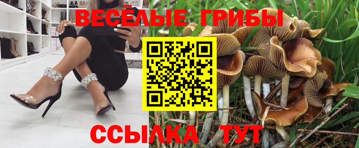 Псилоцибиновые грибы Psilocybe  Вход с VPN  Псилоцибиновые грибы мухоморы  Нягань 